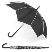 Black & Silver Umbrella with Pointed Canopy