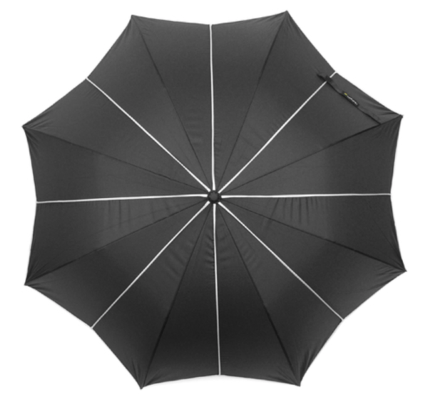 Black & Silver Umbrella with Pointed Canopy