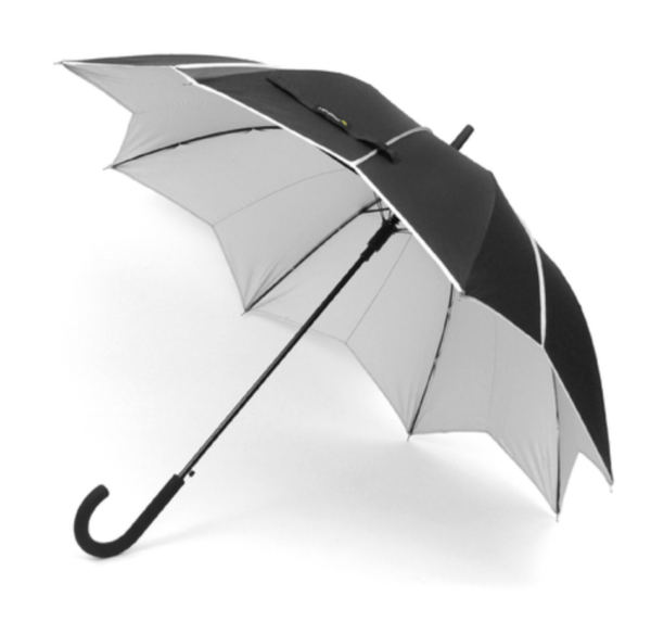 Black & Silver Umbrella with Pointed Canopy
