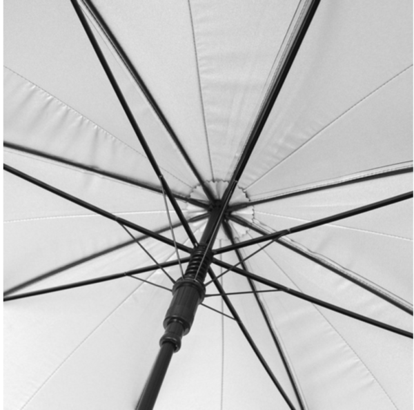 Black & Silver Umbrella with Pointed Canopy